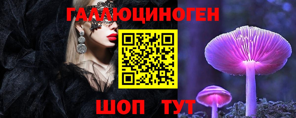 где купить наркоту  Вход с VPN  Железноводск  Псилоцибиновые грибы мицелий 