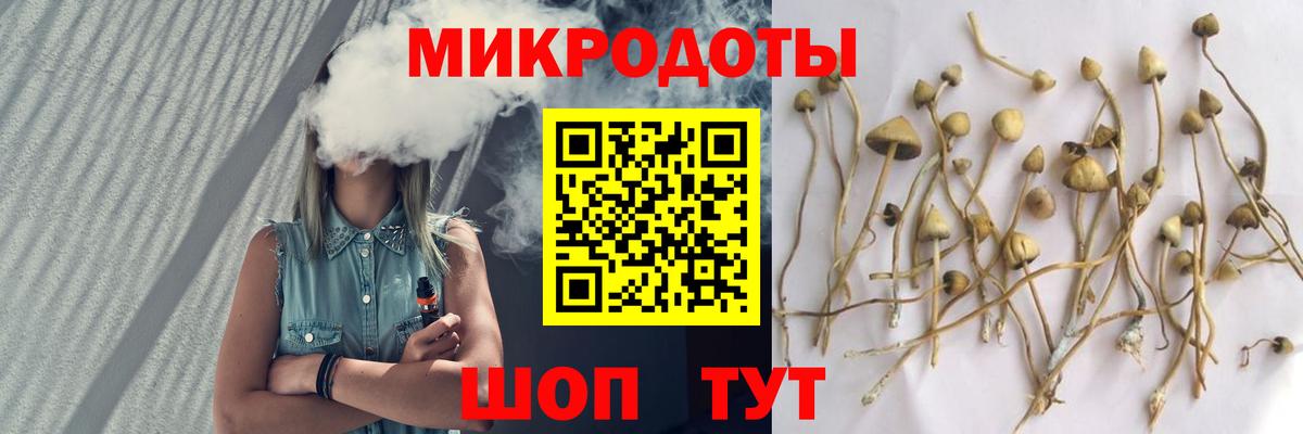 Галлюциногенные грибы Psilocybine cubensis Железноводск